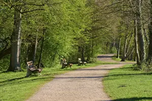 Southern Germany Uplands Scenery Prints: Path, Park, Bench, Forest, Spring
