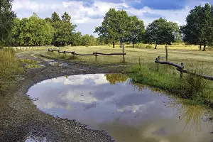 Cloudy Sky Reflection Prints: Path with puddles reflecting the sky