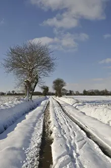 Wintry Agricultural Landscape Prints: Path under the snow in Brittany