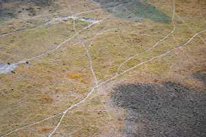 Prints of Paths, trails in the countryside, animal trails Aerial view of the Okavango Delta, near Maun, Okavango Delta, Botswana Maun Prints: Okavango Delta Aerial Print, Botswana