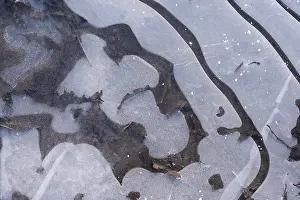 Ice Crystal Pattern Prints: Pattern on frozen water surface