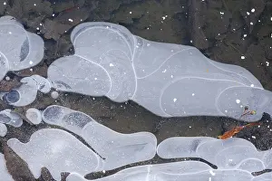 Ice Crystal Pattern Prints: Pattern on frozen water surface