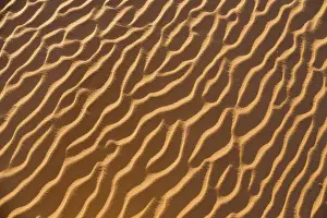 Desert Surface Texture Prints: Patterns in the sand, Libyan Desert