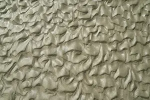 European Coastline Prints: Patterns in the sand at low tide