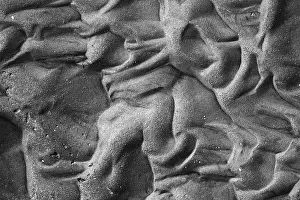 Black And White Nature Photography Prints: Patterns in the sand in the mudflats at low tide