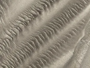 Skeleton Coast National Park Prints: Patterns in the sand of the Namib Desert