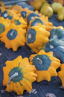 Healthy Eating Habits Prints: Pattypan squash