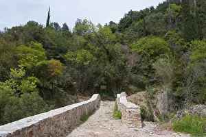 Southeastern Europe Landscape Prints: Paved path over an old stone bridge with a view into a dense forest