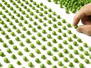 Quality Check Prints: Pea counting
