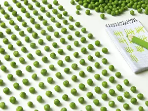 Studio Shot Of Peas Prints: Pea counting