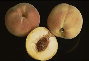 Food Photography Styles Prints: Peaches