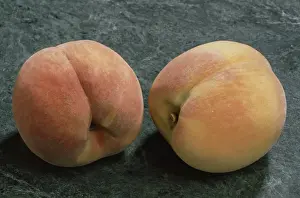 Stone Fruit Varieties Prints: Peaches