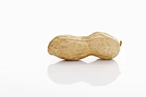 Nature Photography Studio Prints: A peanut