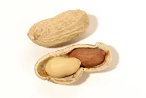 Peanut Nutrition Facts Prints: Peanuts