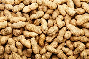 Studio Shot Of Nuts Prints: Peanuts