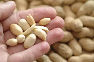 Peanut Nutrition Facts Prints: Peanuts
