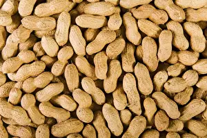 Healthy Eating Images Prints: Peanuts