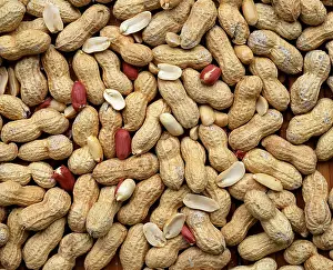 Deserted Grocery Store Photos Prints: Peanuts (Arachis hypogaea) peanut