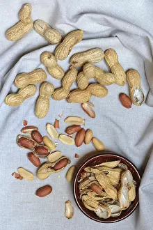 Studio Shot Peanuts Prints: Peanuts in shell, partially opened, Germany