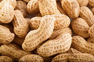 Studio Shot Peanuts Prints: Peanuts with shells