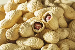 Studio Shot Of Nuts Prints: Peanuts in shells