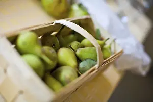 Fresh Pears Nutrition Prints: Pear basket