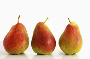Fresh Pears Prints: Three pears