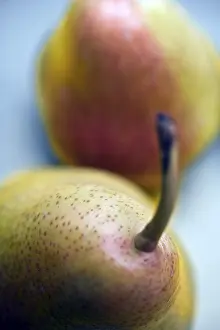 Studio Shot Fruits Prints: Pears