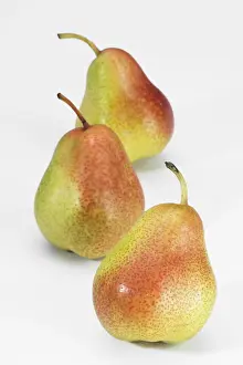 Studio Shot Fruits Prints: Pears