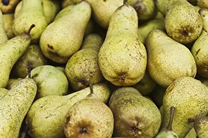 Healthy Fruits Prints: Pears