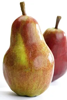 Fruity Studio Photography Prints: Two pears