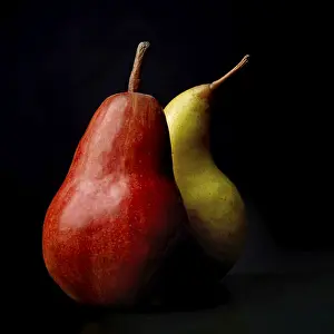 Fruit On Black Ground Prints: Two pears on a black background