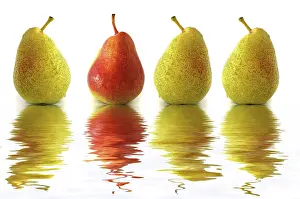 Water Reflection Image Prints: Four pears, three green, one red, with reflection