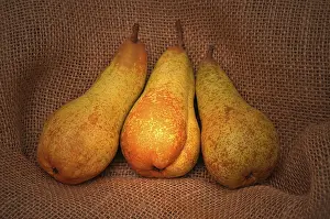 Vitamin Rich Fruit Images Prints: Three pears on jute sack