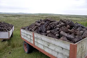 Peat Extraction Prints: Peat is a basic addition of the distillery process and get exploited by hand on the Isle of Islay