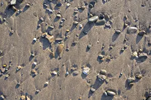 Northern Europe Shore Prints: Pebbles on beach sand, Cornwall