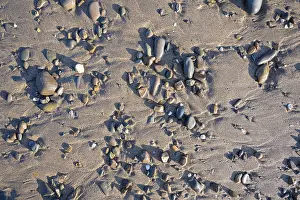 Northern Europe Shore Prints: Pebbles on beach sand, Cornwall