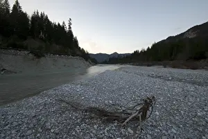Upper Isar River Germany Prints: Pebbles in a riverbed, Upper Isar River