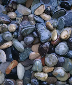 Uninhabited Waterside Prints: Pebbles in water