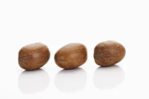 Nutrition Facts Pecans Prints: Three pecan nuts