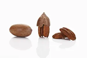 Nutrition Facts Pecans Prints: Pecans and Pecan nuts