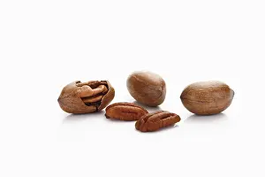 Studio Shot Of Nuts Prints: Pecans and Pecan nuts