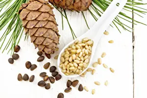 Uninhabited Forest Scene Prints: Peeled kernels of cedar nuts in a spoon