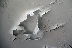 Peeling Paint Prints: Peeling paint