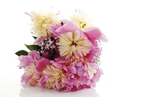 Rose Bouquet Prints: Peonies