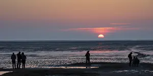 Evening Sunset In Germany Prints: People looking at the sunset, mudflat
