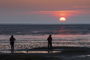 Backlit Sunset Photo Prints: People looking at the sunset, mudflat