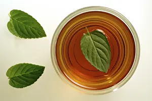 Peppermint Tea Prints: Peppermint tea