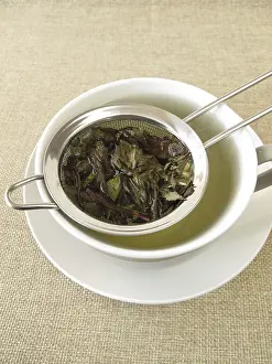 Peppermint Tea Prints: Peppermint tea in a tea strainer