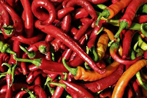 Red Coloured Peppers Prints: Peppers